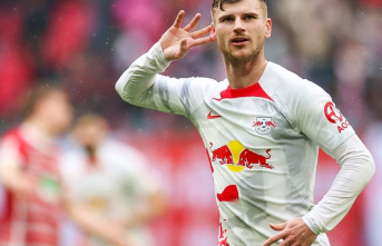 Bundesliga: Loan on the island: Werner moves from...