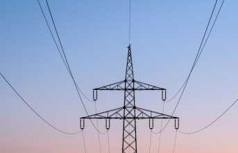 Electricity: New dimming rules for power grids - control...