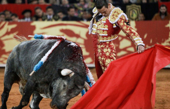 Criticism from animal rights activists: Mexico City...
