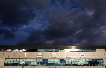 Elon Musk's car company: Tesla factory in Grünheide...