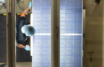 Energy transition: Solar industry: Saxony demands...