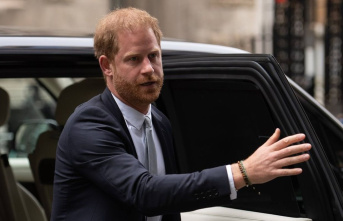 Prince Harry: Royal loses legal battle over police protection