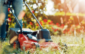 Offers in February: Lawn mowers from Wolf-Garten for 130 instead of 250 euros: top deals on Monday