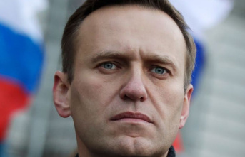 Russia: Navalny team: Putin received prisoner exchange offer
