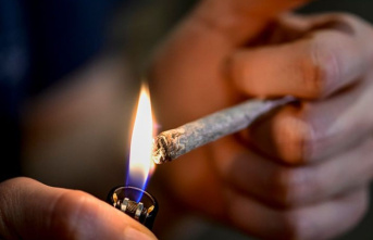 Justice: Judges warn against overburdening cannabis legalization