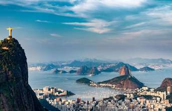 Mosquito plague: Rio de Janeiro declares a state of...