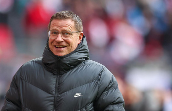 Personnel decision: Back home: Max Eberl is the new sports director of FC Bayern