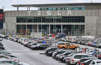 E-car factory in Brandenburg: Tesla expansion is rejected...