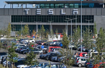 E-car factory in Brandenburg: Tesla is said to significantly...