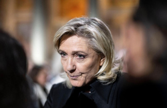 Before the European elections: Le Pen demands that the AfD reject “remigration” – and is waiting for Weidel’s letter