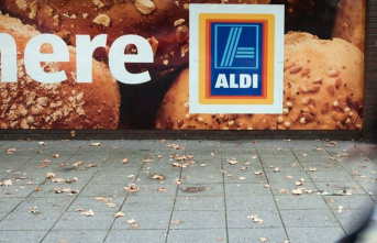 Discounters: Aldi and Lidl are expanding their UK...
