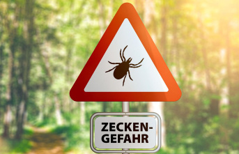TBE infections: Always earlier in the year - Why ticks are already dangerous