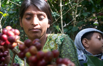 Future of coffee: Less pesticides, less overexploitation,...