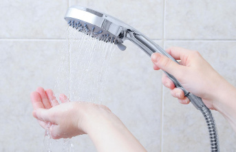 Offers in March: Water-saving shower head for 27 instead...