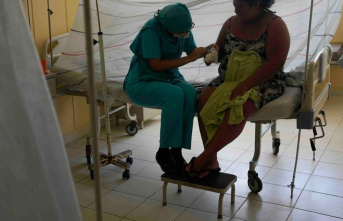Health: Rapid increase in dengue infections in Brazil