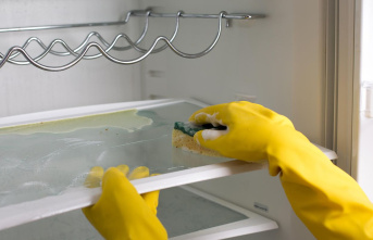 Germ slinger: Disgust alarm: That's why you should clean your refrigerator regularly
