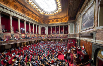 First country in the world: France includes “freedom to abortion” in its constitution