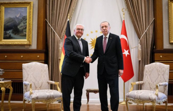 Trip to Turkey: Steinmeier met Erdogan in Ankara