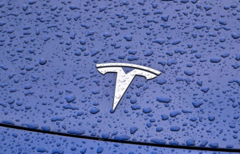 Car: After sales decline: Cheaper Teslas are coming faster