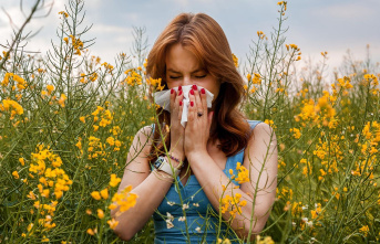 Non-allergic rhinitis: hay fever or not? Why some...