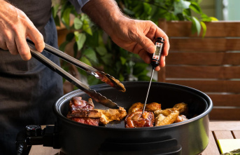 Enjoying meat: The future of grilling: Smart gadgets for the next level