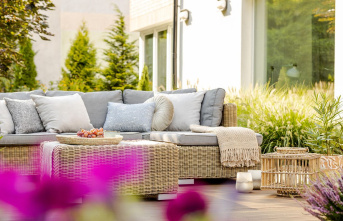 Green oasis: When the garden becomes a living room:...
