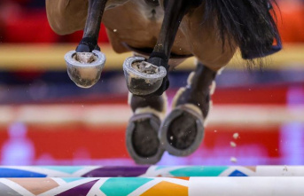 Equestrian sport: World Cup in Riyadh: sportwashing...