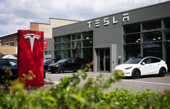 Car manufacturer: Tesla sales are shrinking for the...