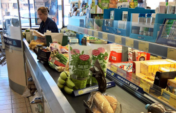System error: New double checkouts at Aldi Süd – good for the company, bad for the employees