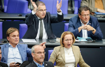 Fried - View from Berlin: Strengthening of the AfD:...