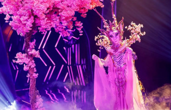 ProSieben Show: Semifinals on “The Masked Singer”: Elf Elgonia exposed