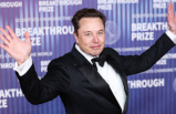 Electromobility: Elon Musk fights for every car: Tesla is also lowering prices in Germany