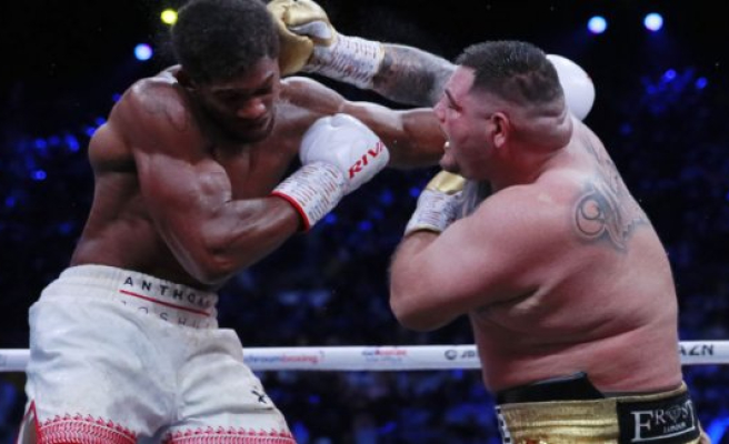 Joshua boxer out for revenge in titelbrag in the heavyweight