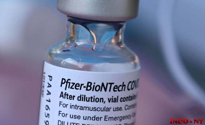 The “Pfizer documents”: beware of this avalanche of false news on the vaccine against COVID-19