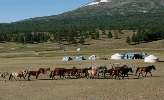 How horse milk fueled great social changes in prehistoric Mongolia