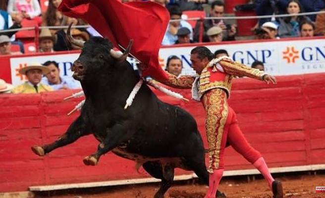 A judge indefinitely prohibits bullfights in Plaza México