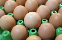 Agriculture: Poultry farmers expect egg prices to...