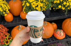 Starbucks Sales Record: The Pumpkin Spice Latte: Why Americans Love the Fall Drink So Much