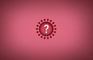 What is the 'delta+' coronavirus variant?