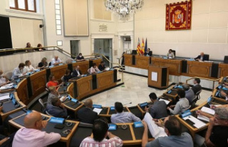 The Economic and Social Council of the Diputación...