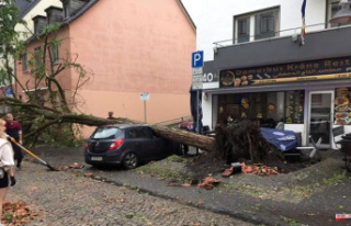 One dead and dozens injured by a tornado in Germany