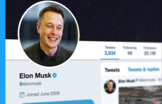 Elon Musk paralyzes the purchase of Twitter and the...