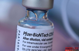 The “Pfizer documents”: beware of this avalanche...