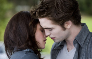 Twilight 6: Is there a new movie planned?