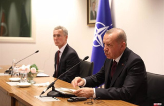 Finland, Sweden and NATO try to appease Erdogan with...