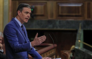 Sánchez announces a new law of the CNI and another...