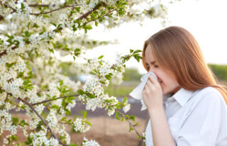 Pollen allergy: these apps that help identify areas...