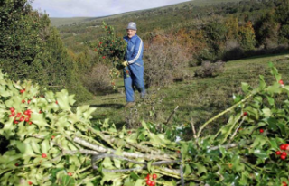 The dangers hidden in the Galician countryside
