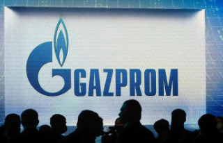Netherlands: Gazprom suspends gas delivery to one...