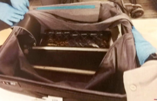 Over $3M worth of heroin seized from suitcases